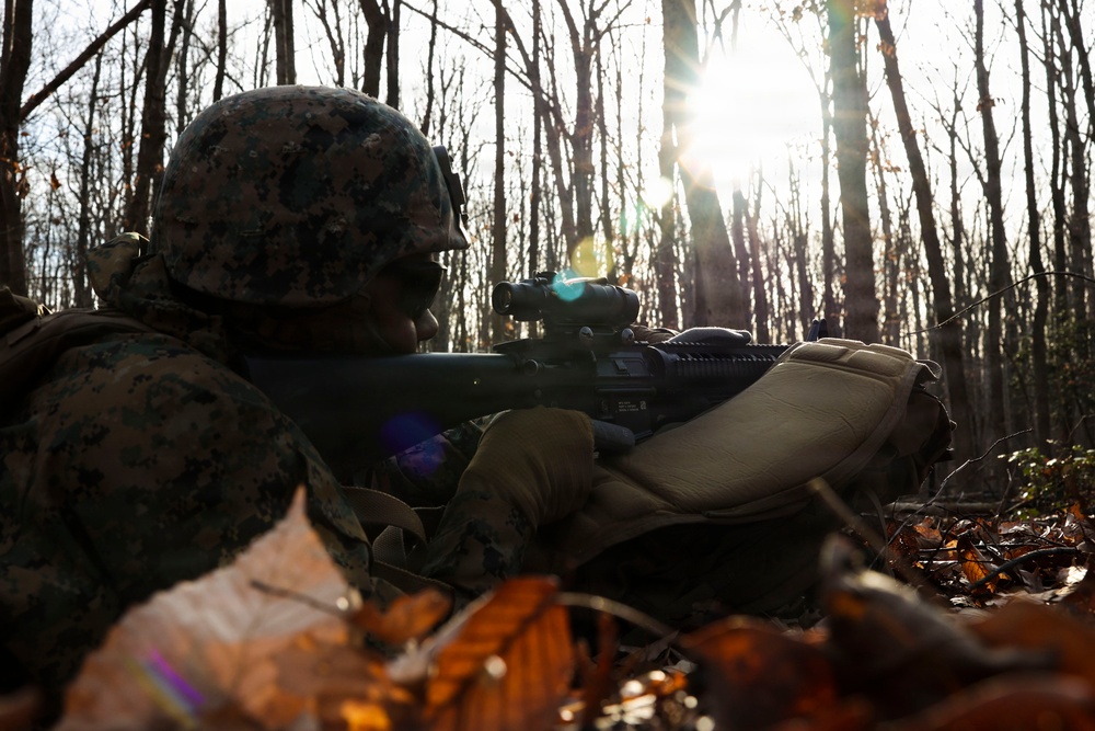 Alpha Company Conducts Patrolling Exercise at MCB Quantico
