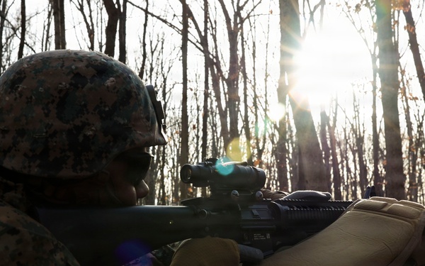 Alpha Company Conducts Patrolling Exercise at MCB Quantico