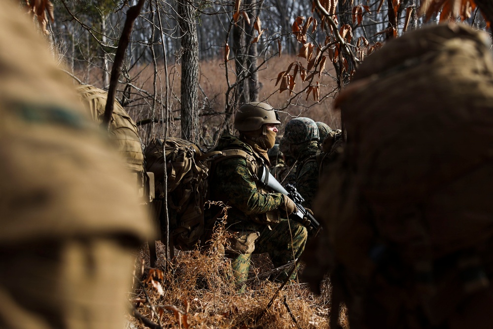 Alpha Company Conducts Patrolling Exercise at MCB Quantico