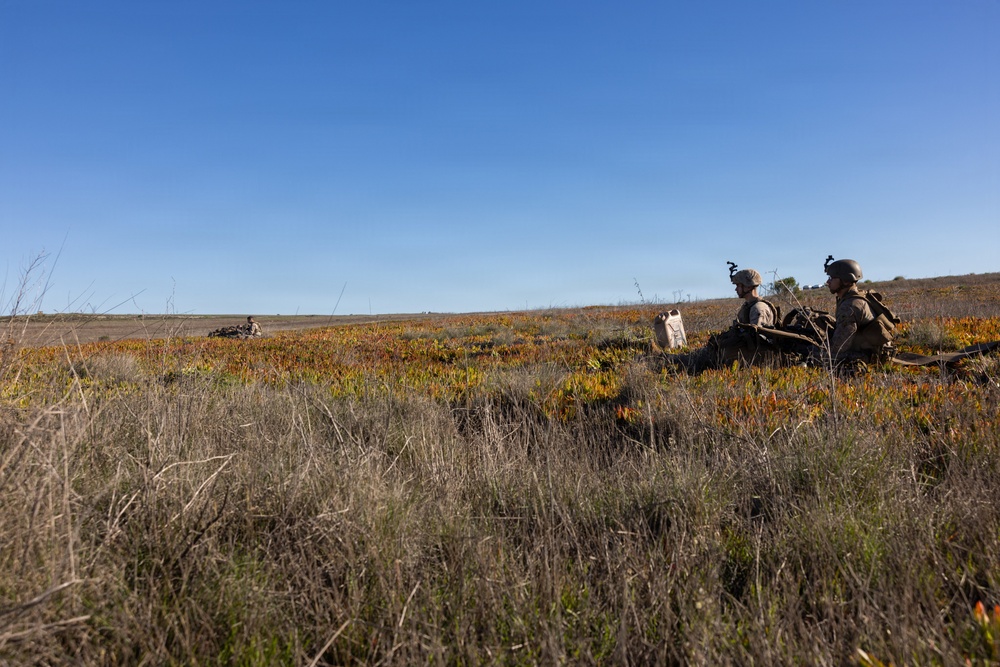 1st Bn., 5th Marines conducts maritime defense, reconnaissance during Steel Knight 25