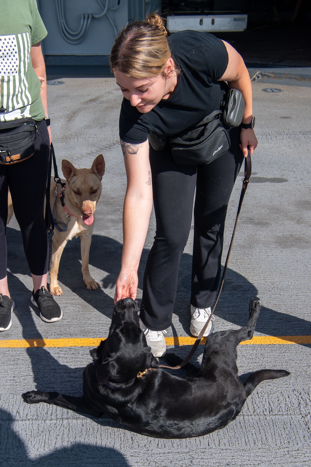 USS Boxer Therapy Dog Training