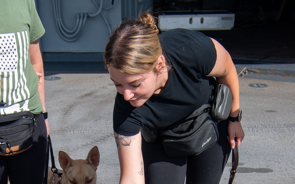 USS Boxer Therapy Dog Training