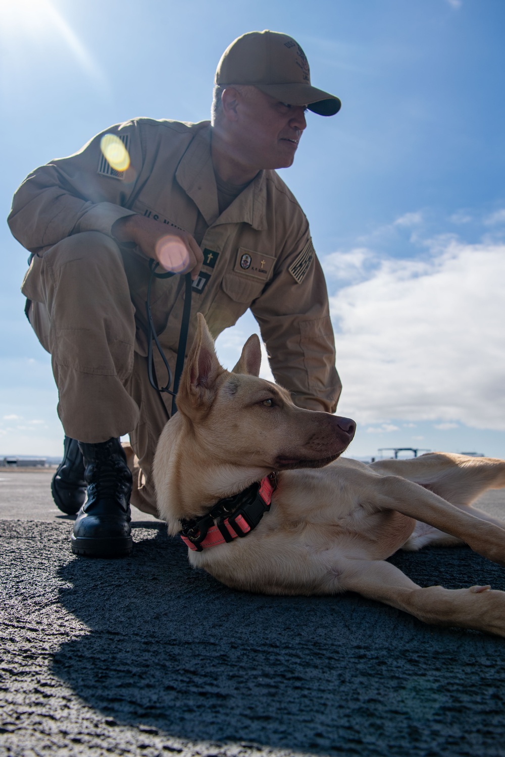 USS Boxer Therapy Dog Training