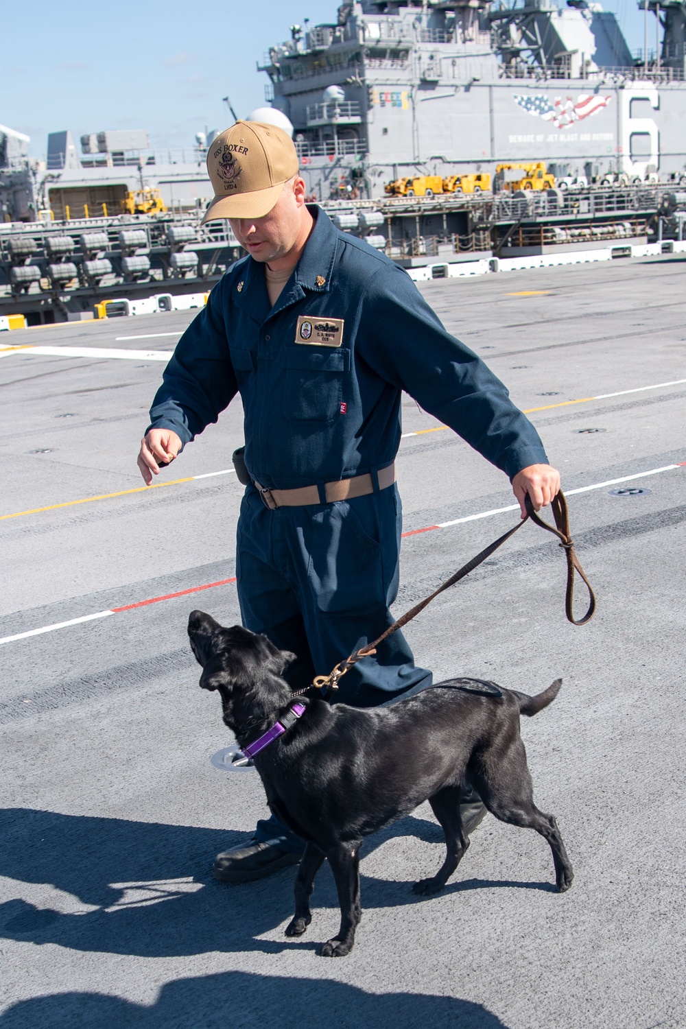 USS Boxer Therapy Dog Training