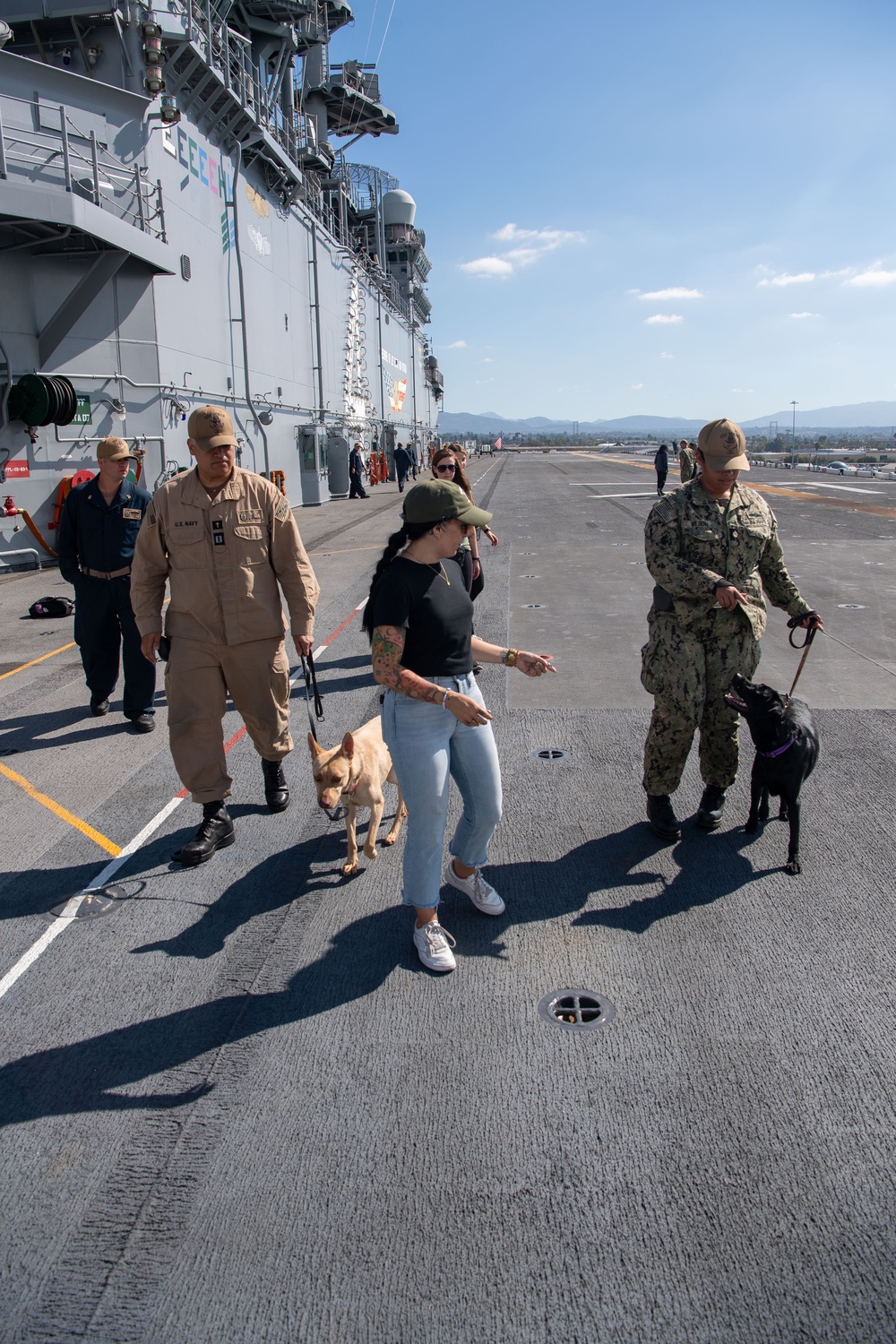 USS Boxer Therapy Dog Training
