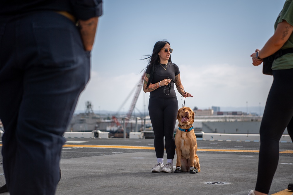 USS Boxer Therapy Dog Training