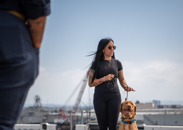 USS Boxer Therapy Dog Training