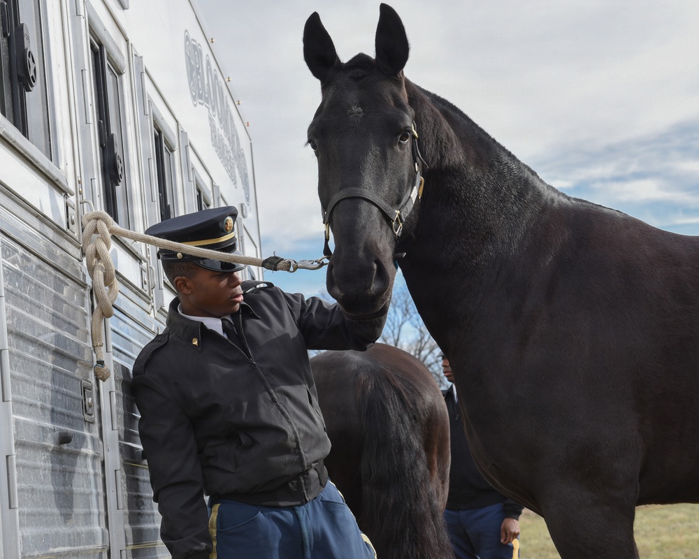 Caisson Christmas Parade in Middleburg