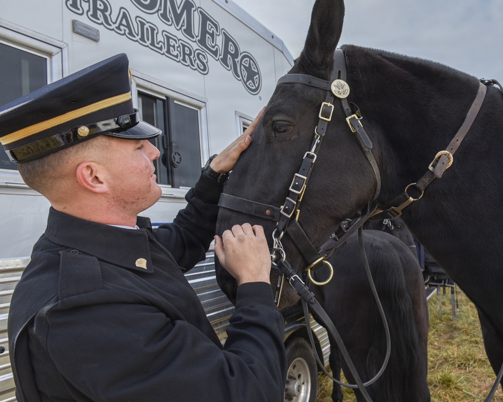 Caisson Christmas Parade in Middleburg
