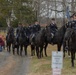 Caisson Christmas Parade in Middleburg