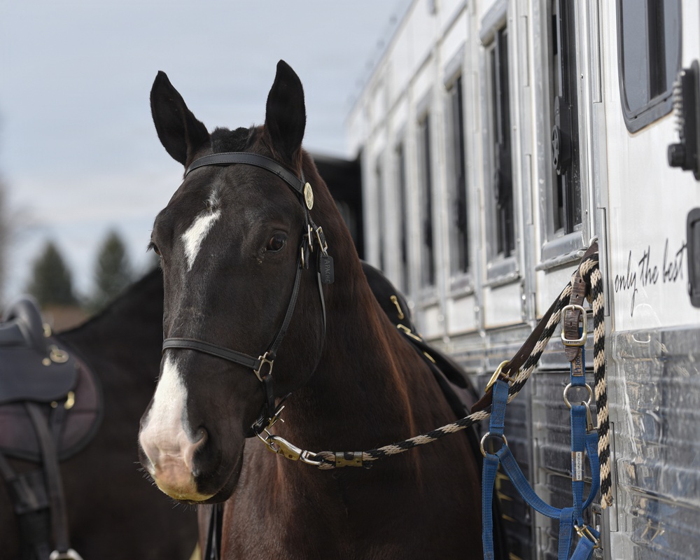 Caisson Christmas Parade in Middleburg