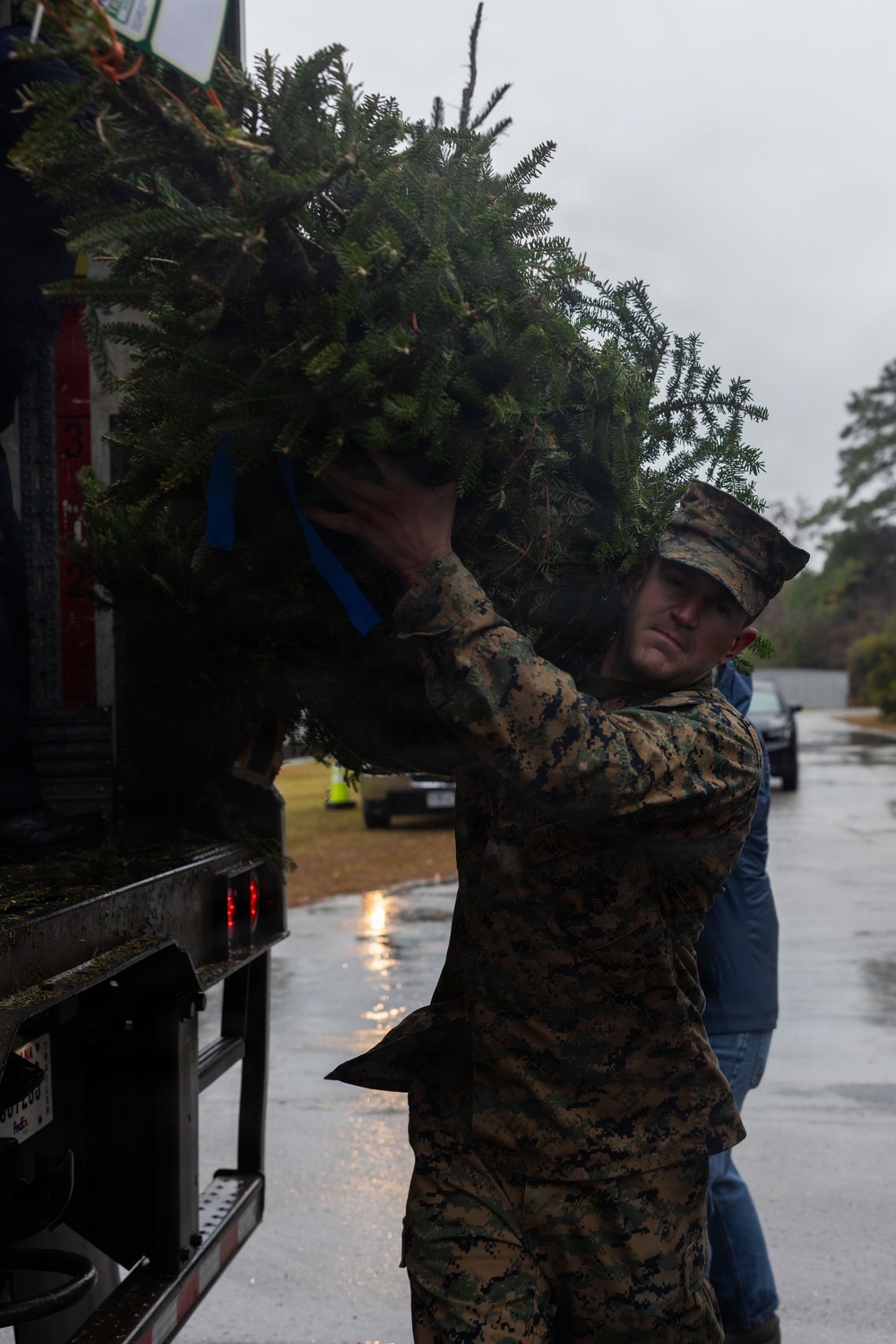 Trees For Troops is Here