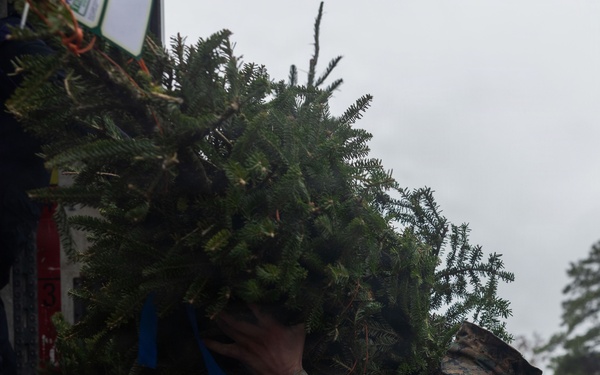 Trees For Troops is Here