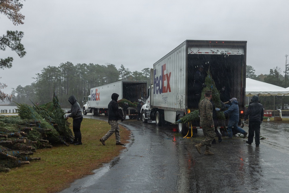 Trees For Troops is Here