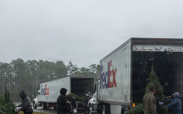 Trees For Troops is Here