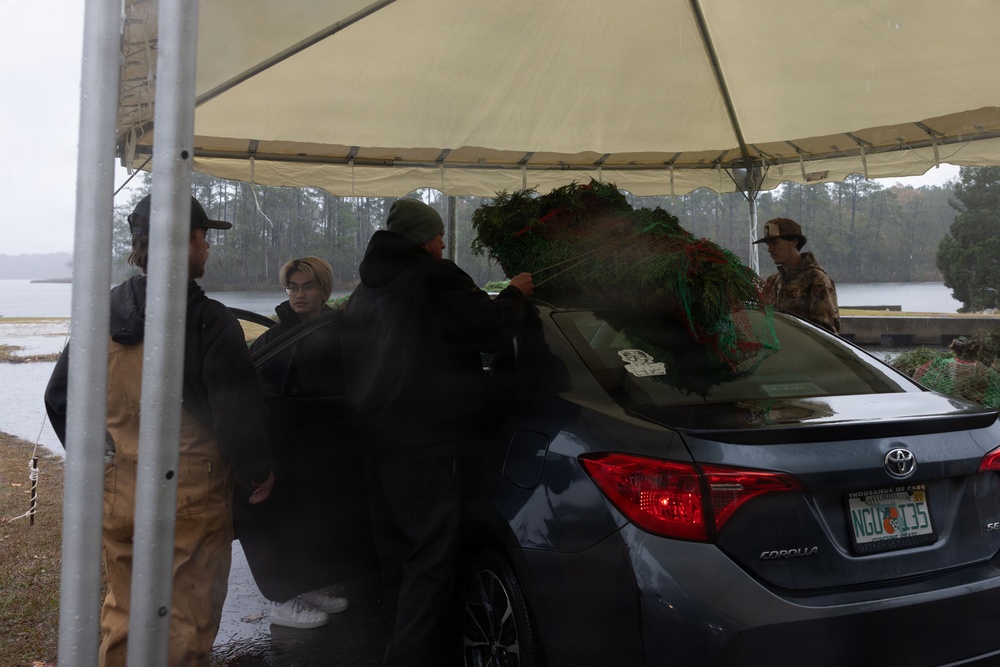 Trees For Troops is Here