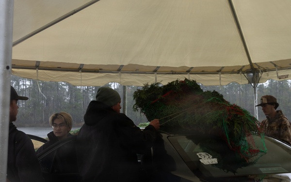 Trees For Troops is Here