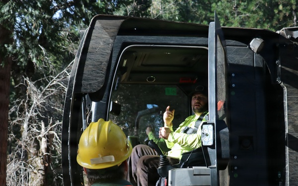 Tethered Mastication