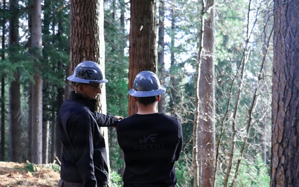 Tethered Mastication