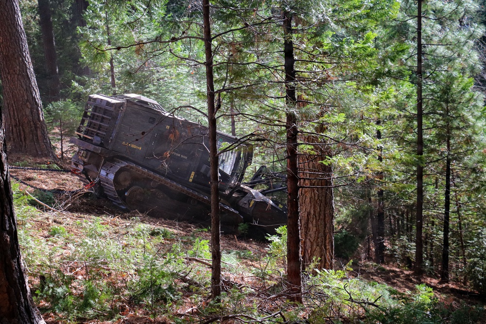 Tethered Mastication