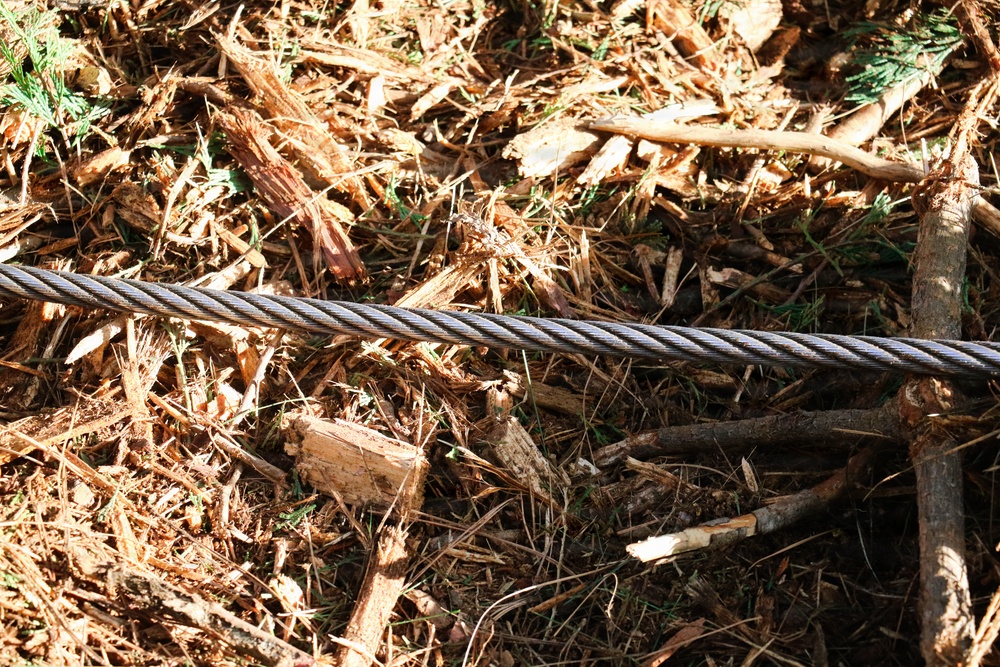 Tethered Mastication