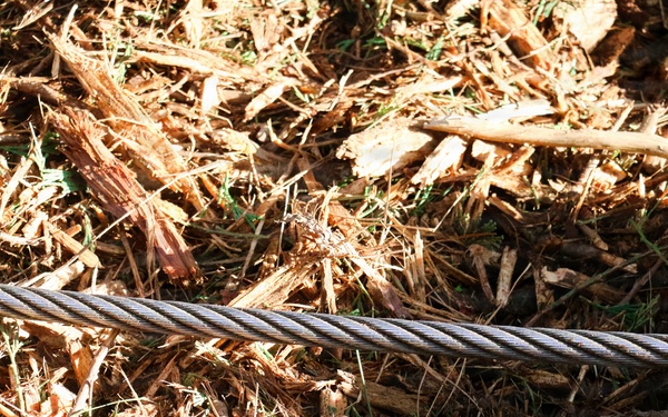 Tethered Mastication