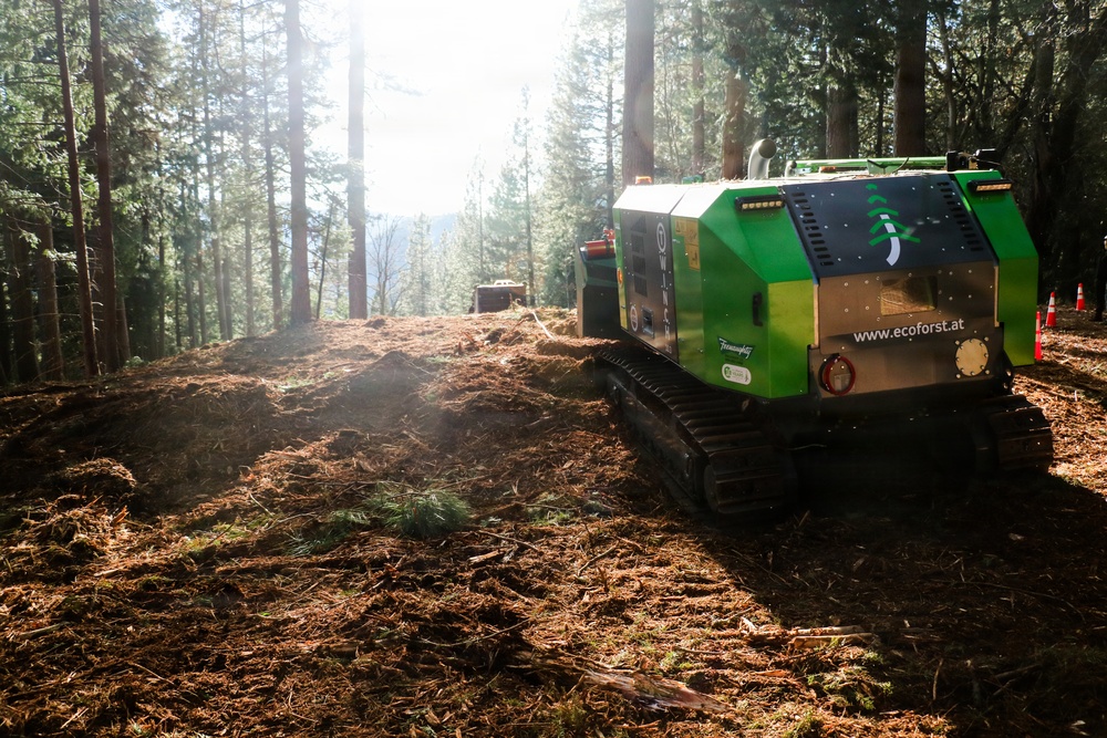 Tethered Mastication