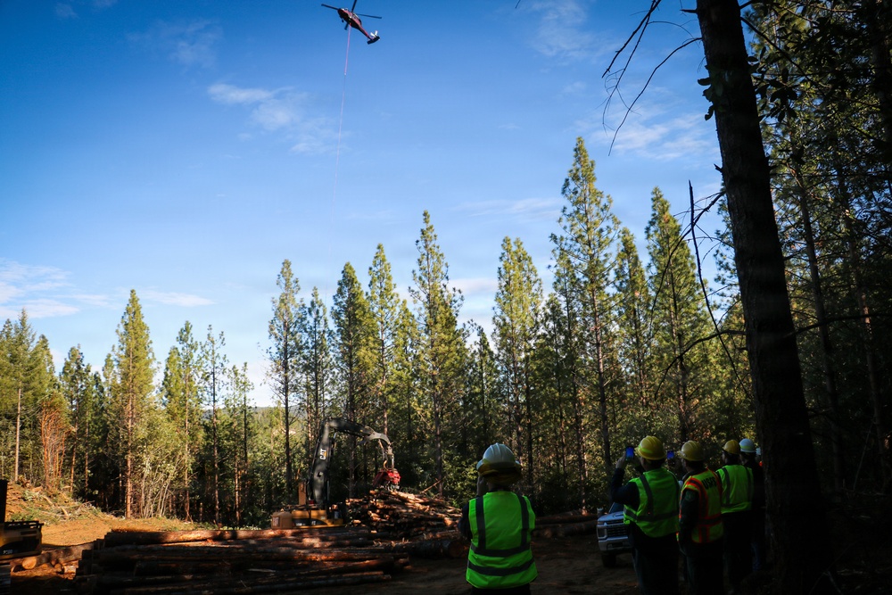 Helicopter Logging
