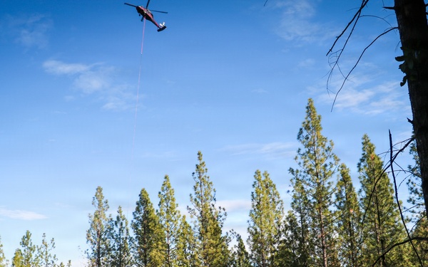 Helicopter Logging