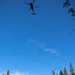 Helicopter Logging