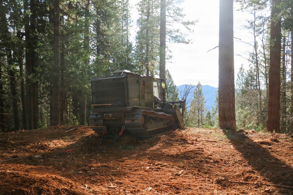 Tethered Mastication