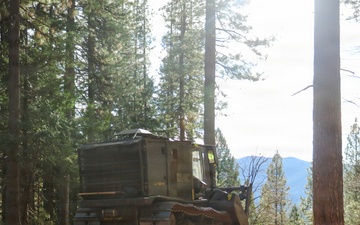 Tethered Mastication