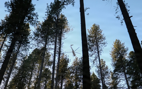 Helicopter Logging