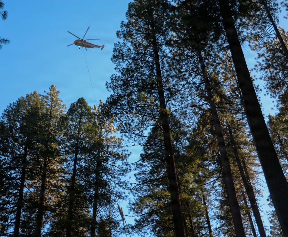 Helicopter Logging