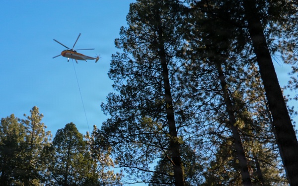 Helicopter Logging