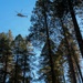 Helicopter Logging
