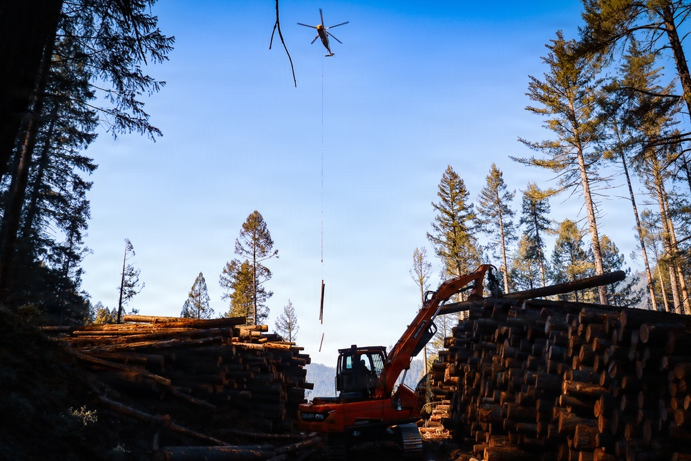 Helicopter Logging