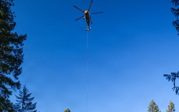 Helicopter Logging
