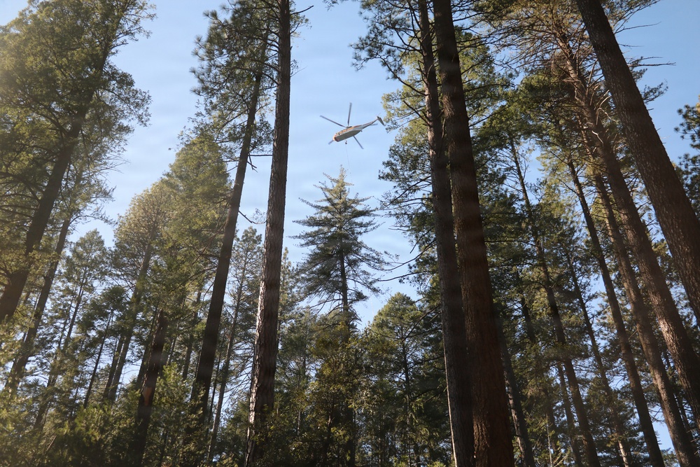 Helicopter Logging