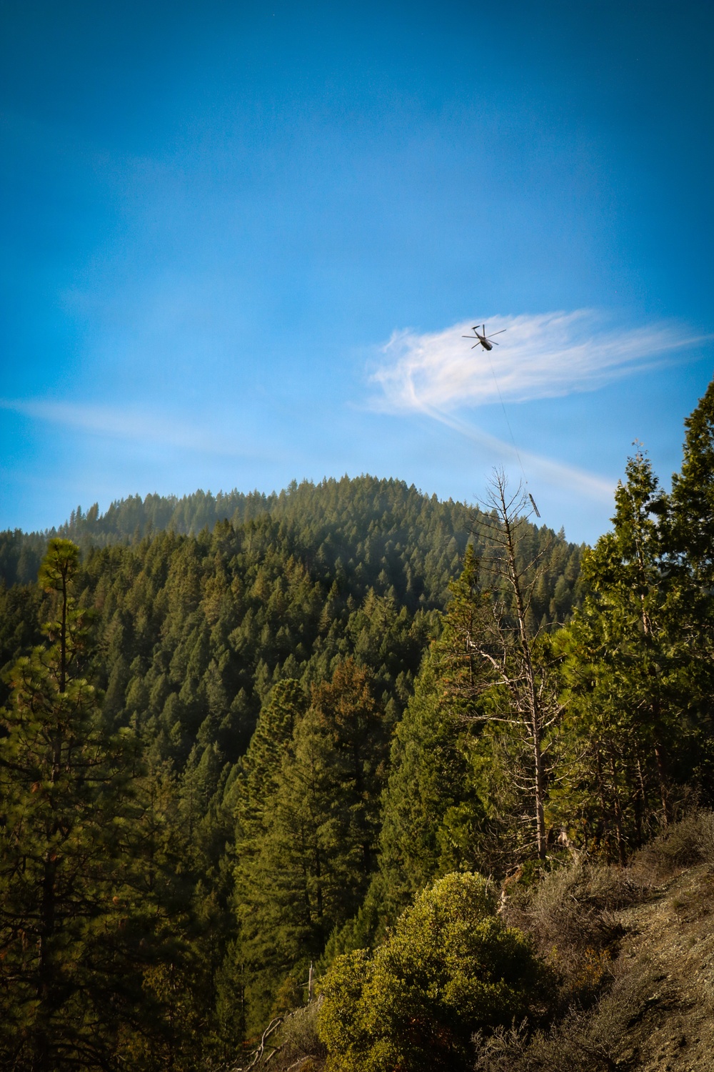 Helicopter Logging