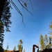 Helicopter Logging