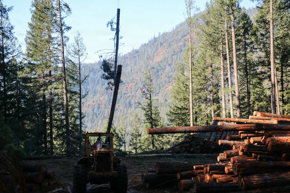 Helicopter Logging