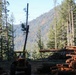 Helicopter Logging
