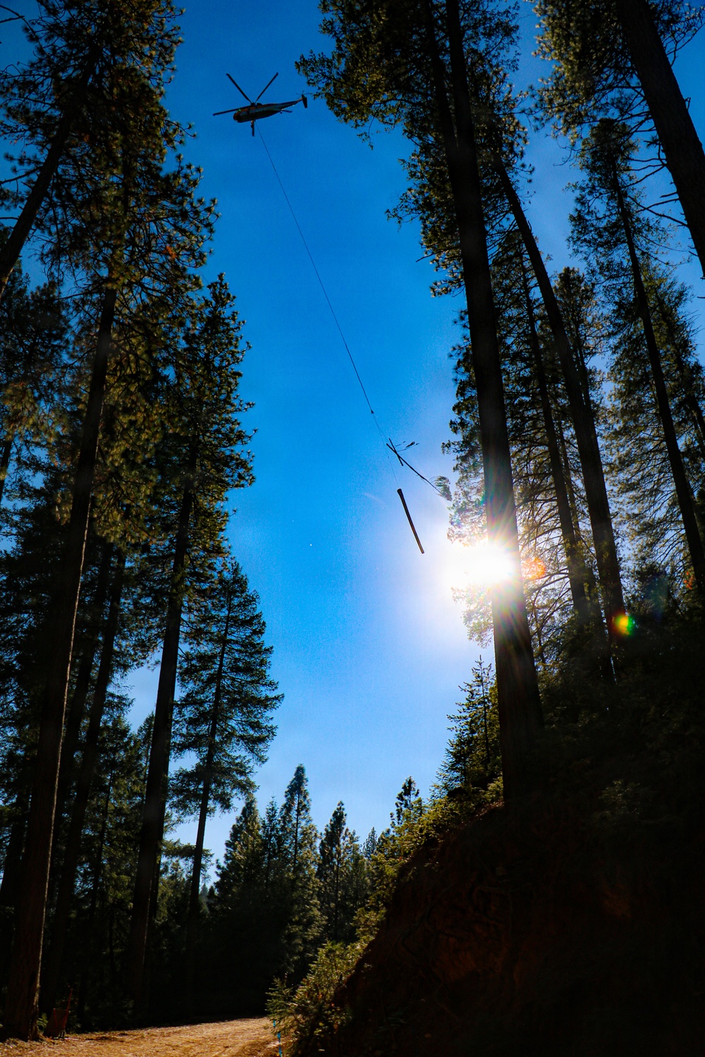 Helicopter Logging Operations in Tahoe National Forest