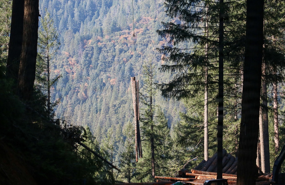 Helicopter Logging