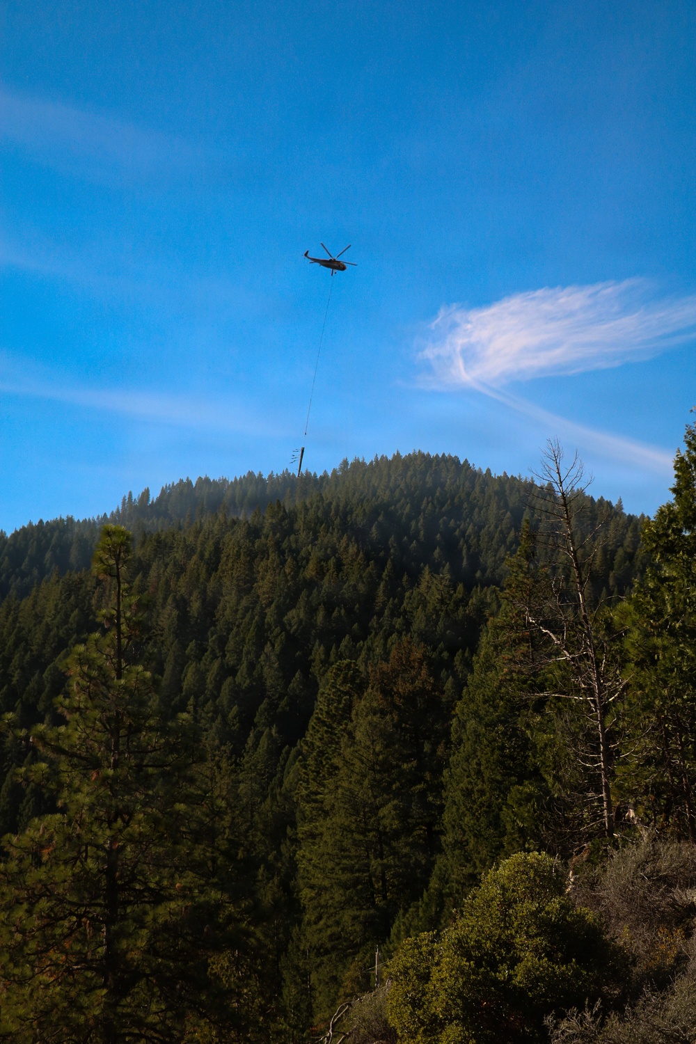 Helicopter Logging