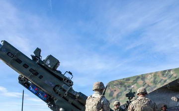 Ivy Sting III Dry Fire