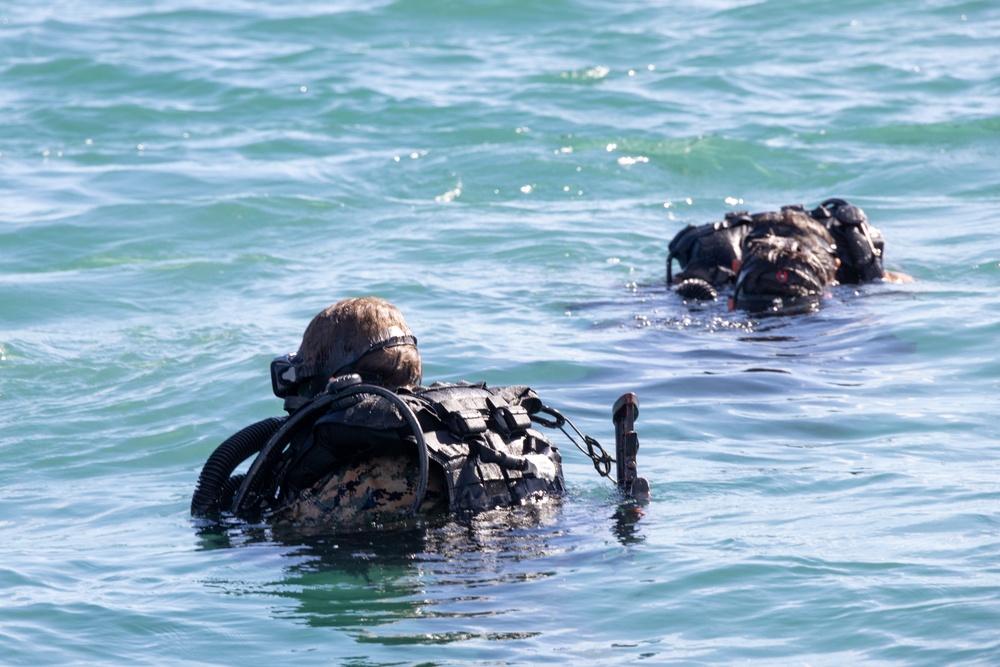 Diving Deep with Charlie Company