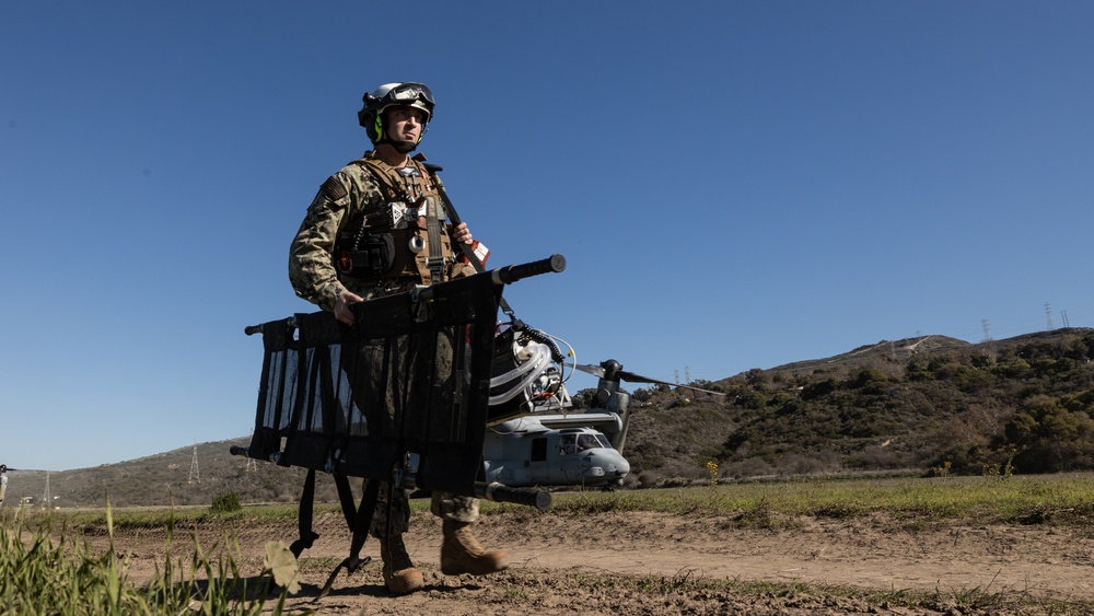 Aid From Above: Purple Foxes Conduct Mass Casualty Training