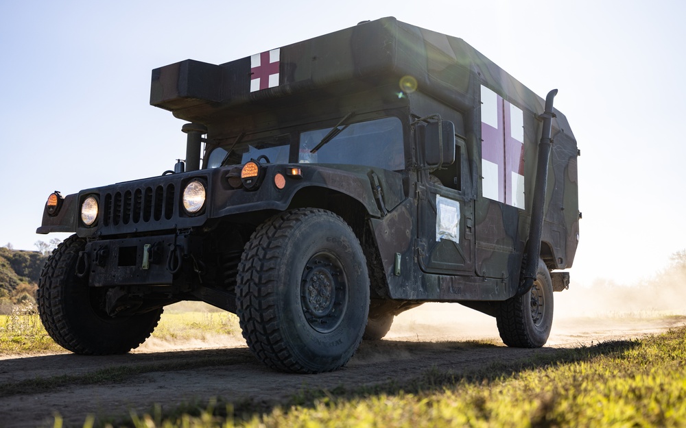 Aid From Above: Purple Foxes Conduct Mass Casualty Training